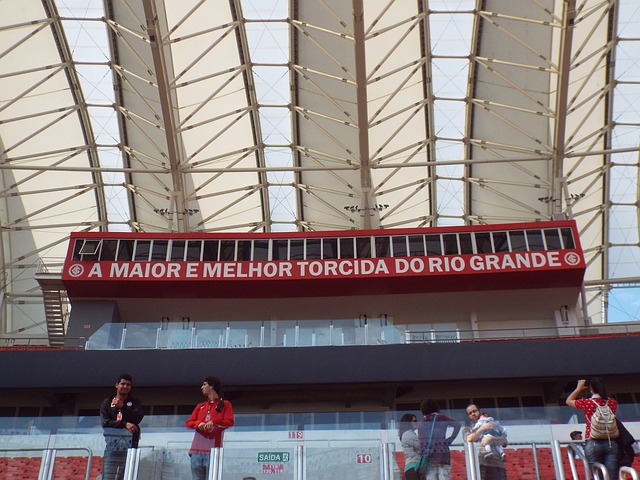 力的球员 力的球员